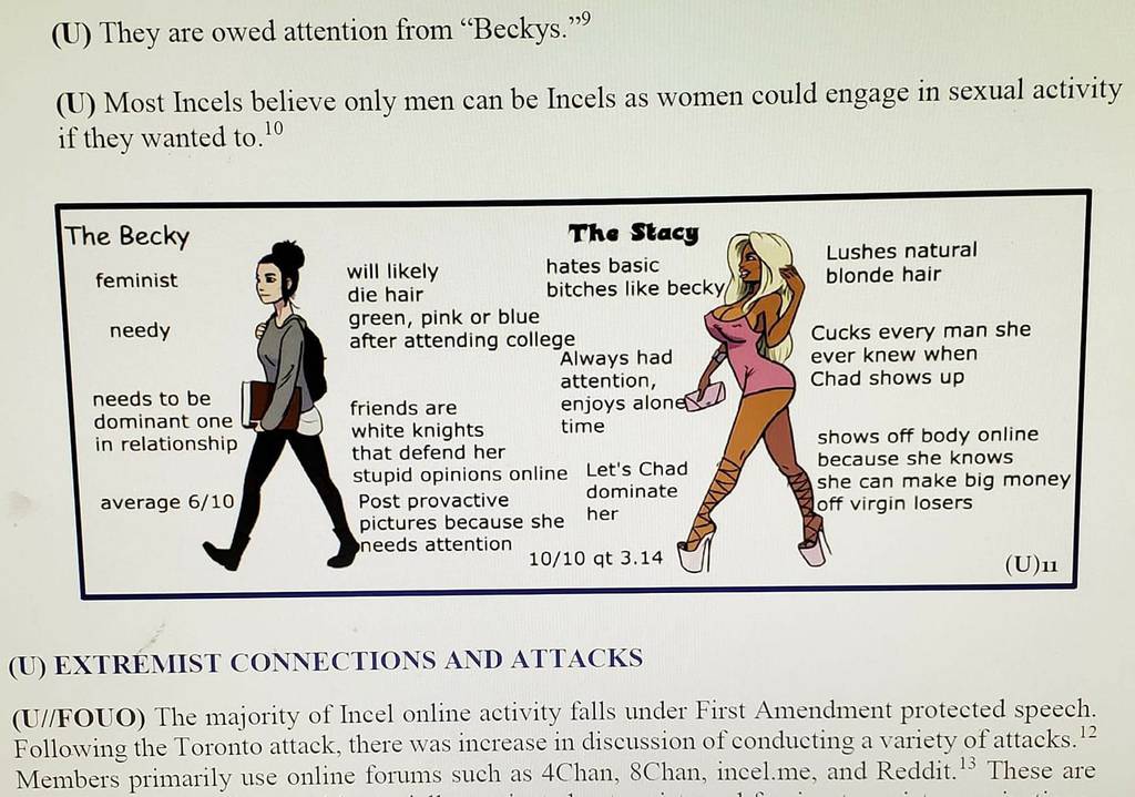 Air Force Cautions Troops To Beware Of Sexless Involuntary Celibates
