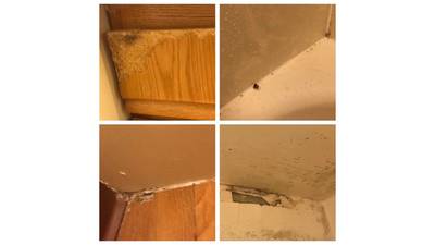 Photos showing dingy and dismal conditions in a room at the Southern Pines Inn temporary lodging facility at Seymour Johnson Air Force Base in North Carolina were posted on a private Facebook group this week. Base leadership immediately called the conditions "less than acceptable" and pledged to fix them.