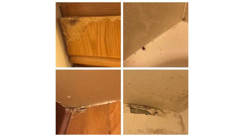 Photos showing dingy and dismal conditions in a room at the Southern Pines Inn temporary lodging facility at Seymour Johnson Air Force Base in North Carolina were posted on a private Facebook group this week. Base leadership immediately called the conditions "less than acceptable" and pledged to fix them.